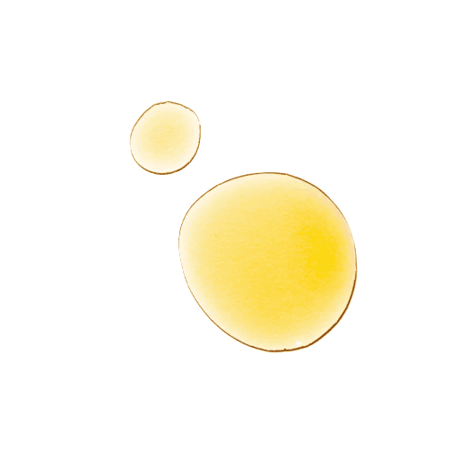 Moroccanoil Pure Argan Oil 50ml
