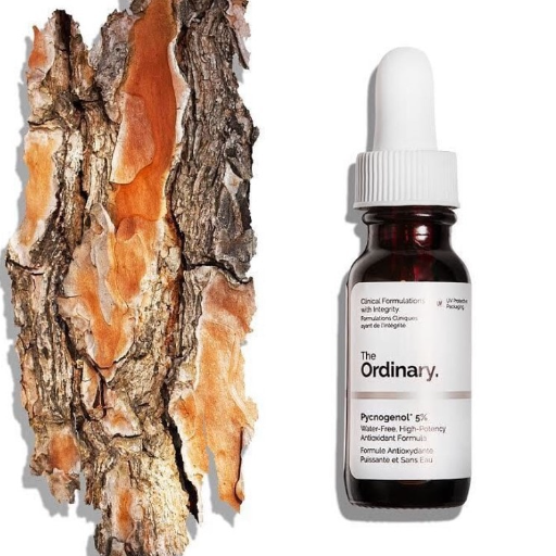 The Ordinary Pycnogenol 5% - 15ml